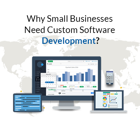 Why-Small-Businesses-Need-Custom-Software-Development (2).jpg